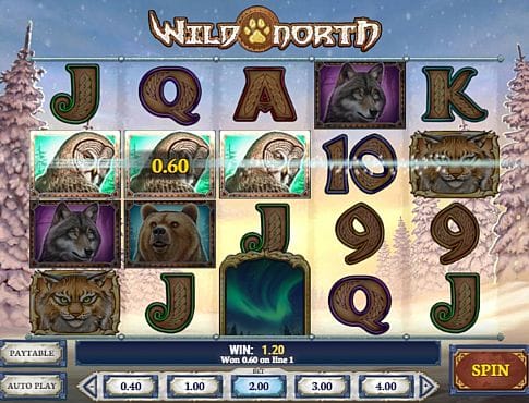 Спасайся и играй : Узнайте об игровом автомате Wild Horses в онлайн казино Вулкан 24